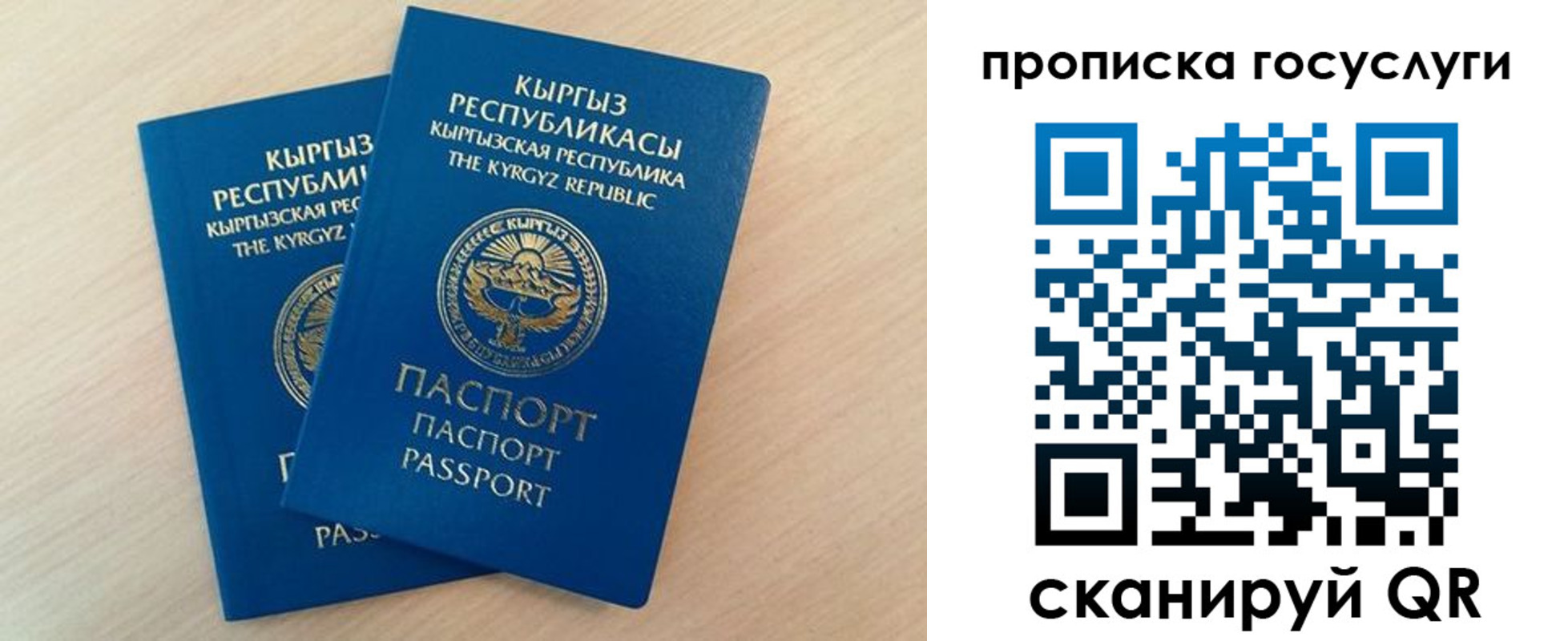 пропишу в квартире в Лыткарино